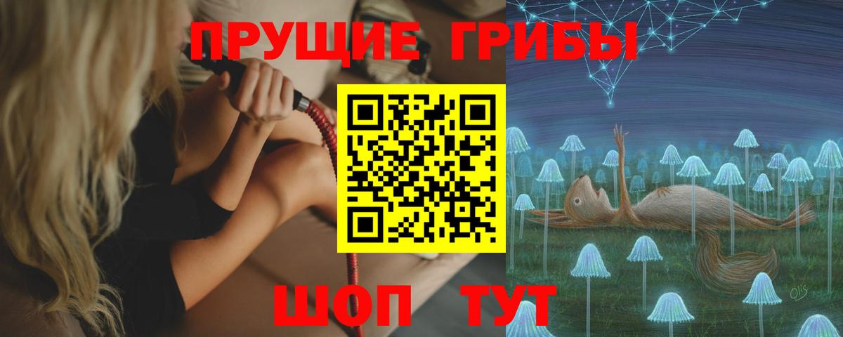 Псилоцибиновые грибы Psilocybine cubensis  Вход с VPN  Калач-на-Дону 